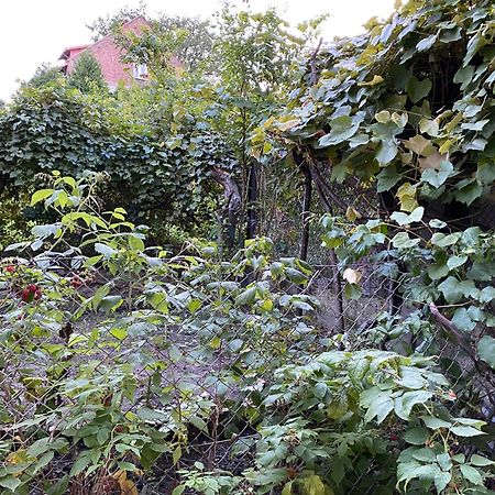 Apartamenty Lux Slowackiego, Przemyśl Esterno foto