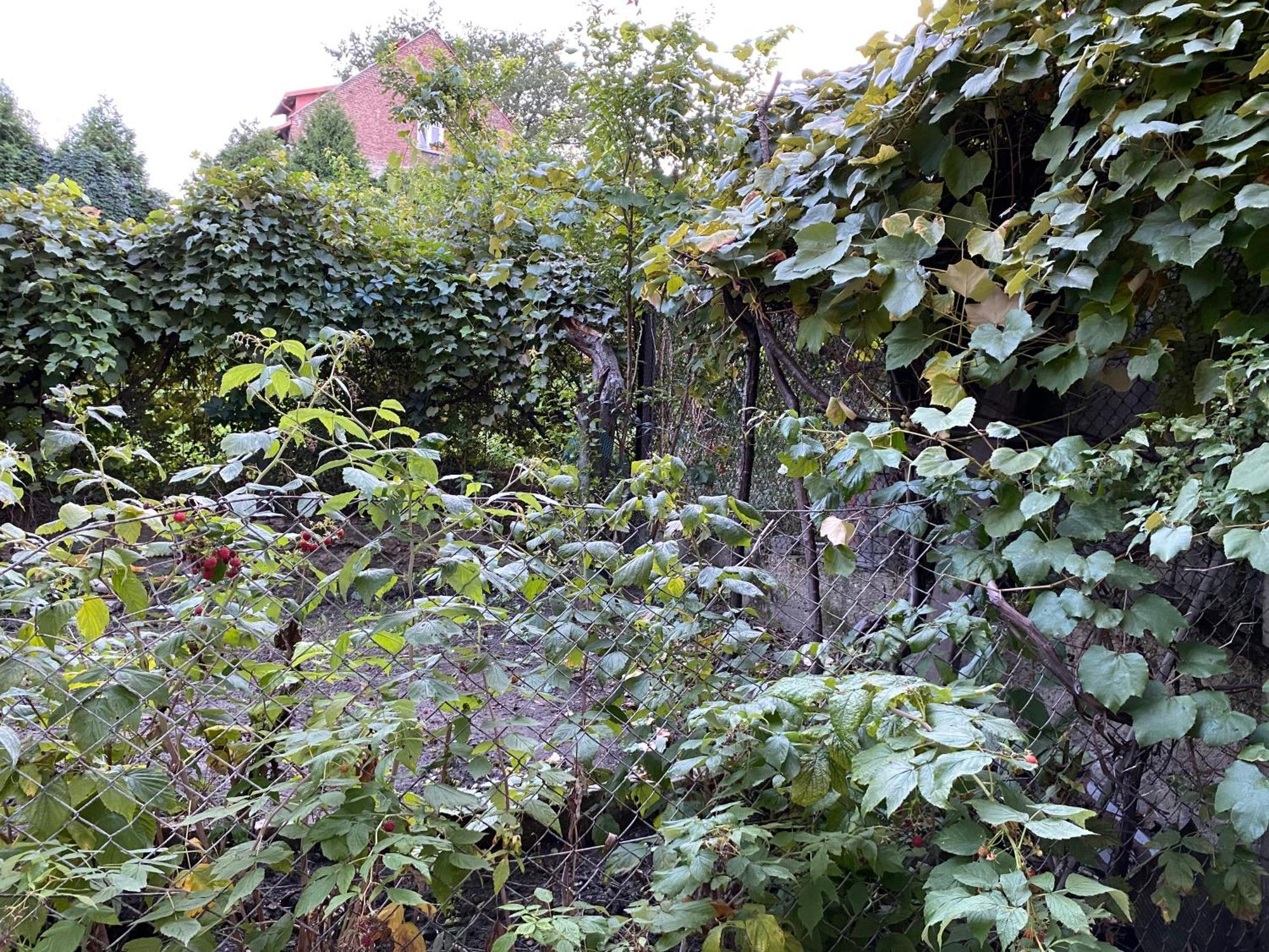 Apartamenty Lux Slowackiego, Przemyśl Esterno foto